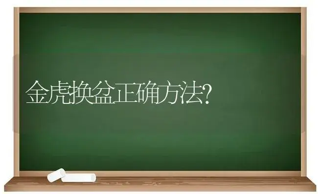 金虎换盆正确方法？ | 多肉养殖