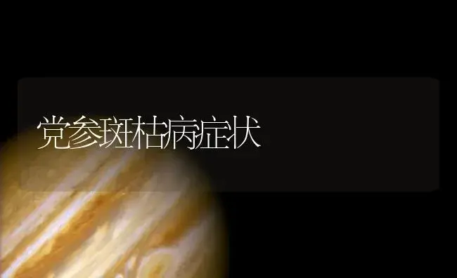 党参斑枯病症状 | 药材种植