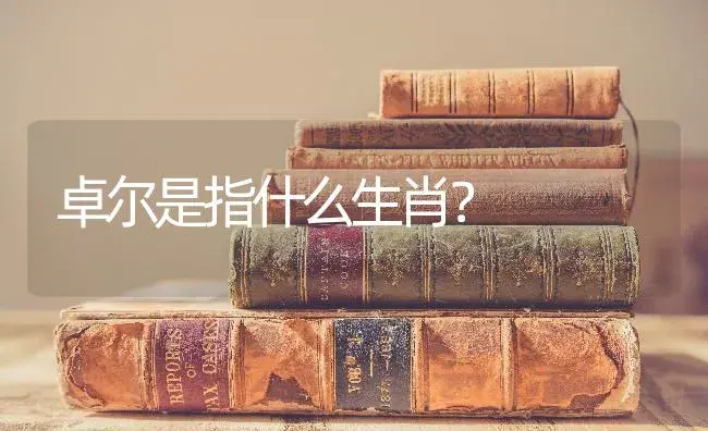 卓尔是指什么生肖？ | 多肉养殖