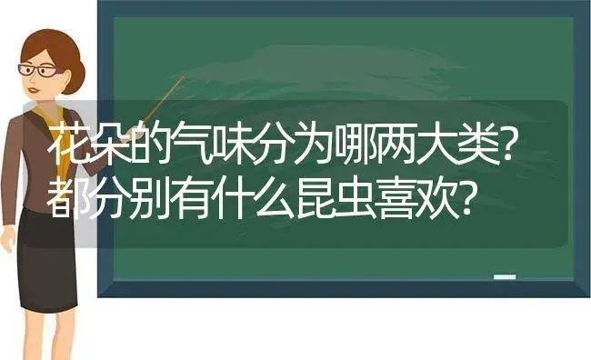 花朵的气味分为哪两大类？都分别有什么昆虫喜欢？ | 绿植常识