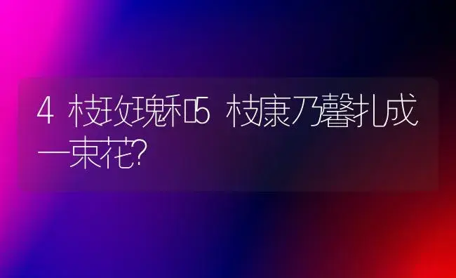 4枝玫瑰和5枝康乃馨扎成一束花？ | 绿植常识