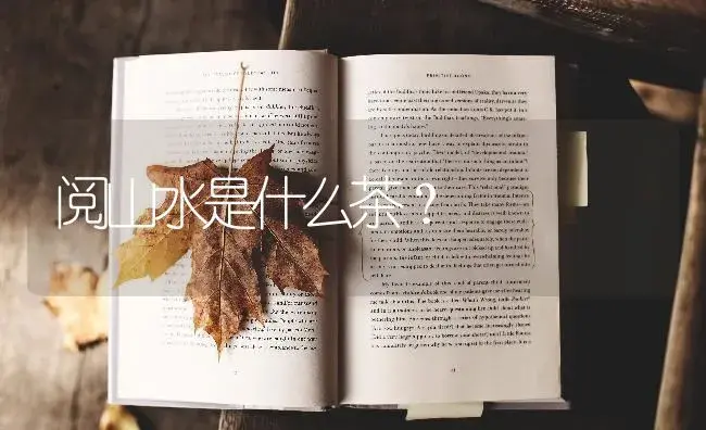阅山水是什么茶？ | 多肉养殖