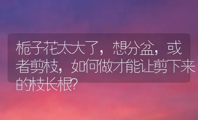 栀子花太大了，想分盆，或者剪枝，如何做才能让剪下来的枝长根？ | 绿植常识