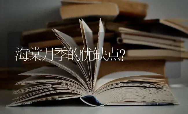 海棠月季的优缺点？ | 绿植常识