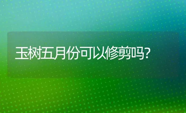 玉树五月份可以修剪吗？ | 多肉养殖