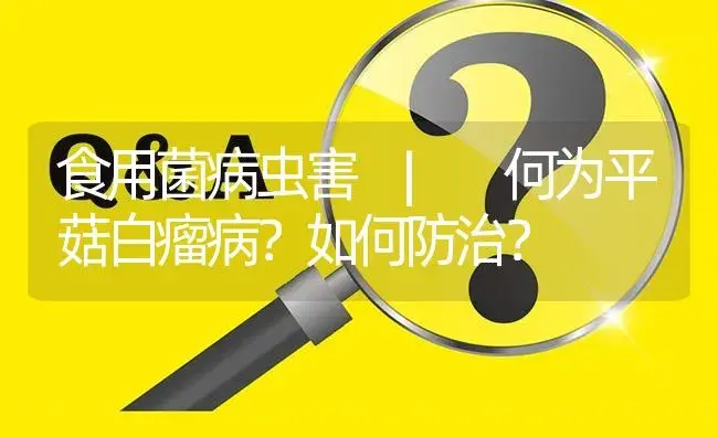 何为平菇白瘤病？如何防治？ | 菌菇种植