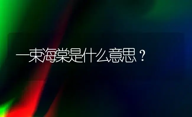 一束海棠是什么意思？ | 绿植常识