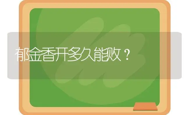 郁金香开多久能败？ | 绿植常识