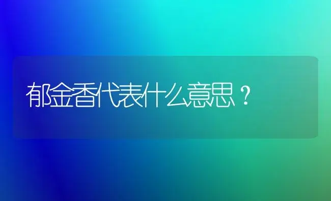 郁金香代表什么意思？ | 家庭养花