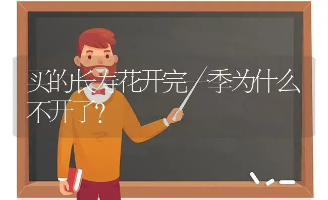 买的长寿花开完一季为什么不开了？ | 多肉养殖