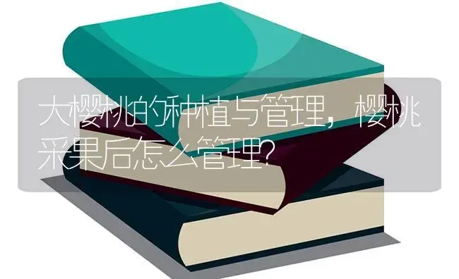 大樱桃的种植与管理，樱桃采果后怎么管理？ | 果木种植