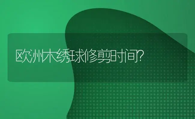 欧洲木绣球修剪时间？ | 绿植常识