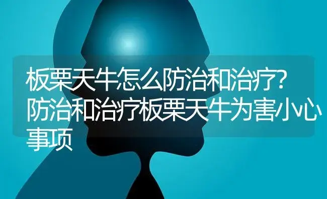 板栗天牛怎么防治和治疗？防治和治疗板栗天牛为害小心事项 | 果木种植