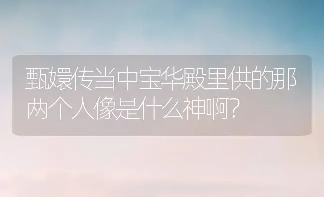 甄嬛传当中宝华殿里供的那两个人像是什么神啊？ | 多肉养殖