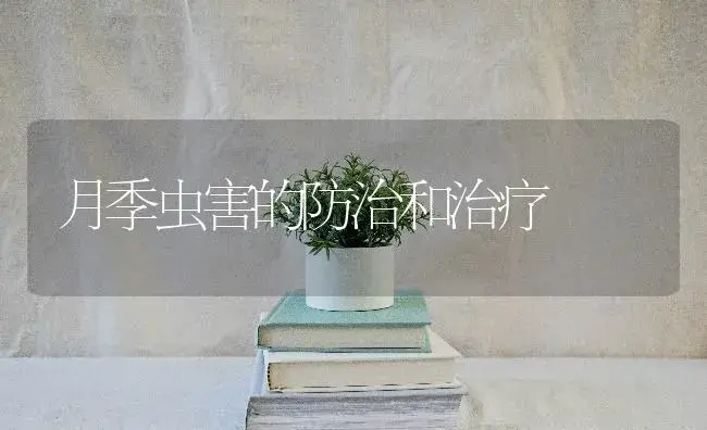 月季虫害的防治和治疗 | 特种种植