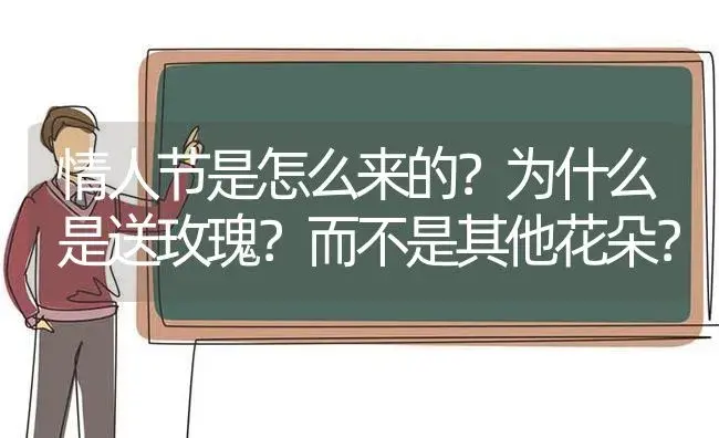 为什么蝴蝶兰喜干不喜湿？ | 绿植常识