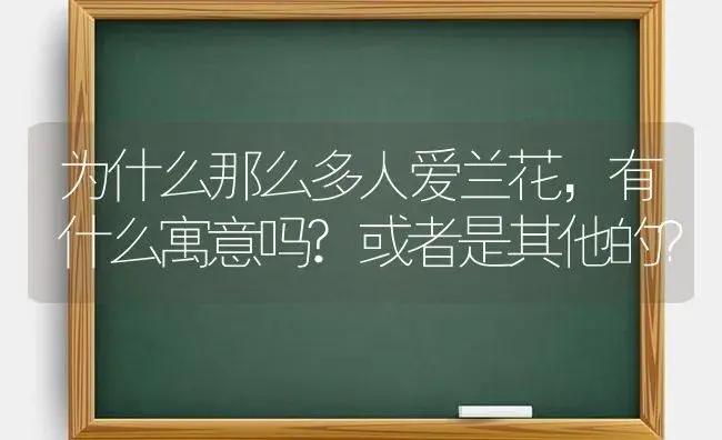 为什么那么多人爱兰花，有什么寓意吗?或者是其他的？ | 绿植常识