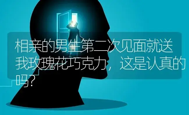 相亲的男生第二次见面就送我玫瑰花巧克力，这是认真的吗？ | 绿植常识