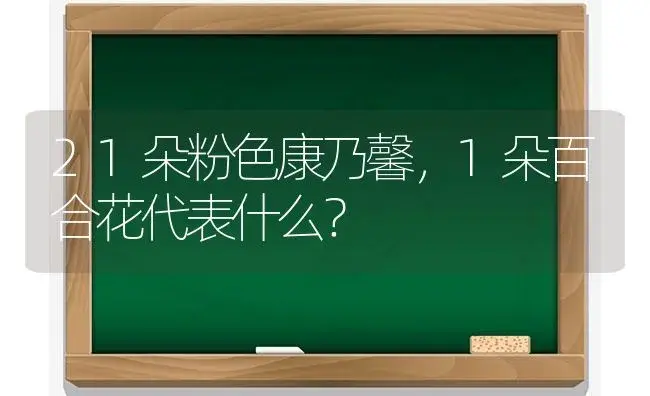 21朵粉色康乃馨，1朵百合花代表什么？ | 绿植常识