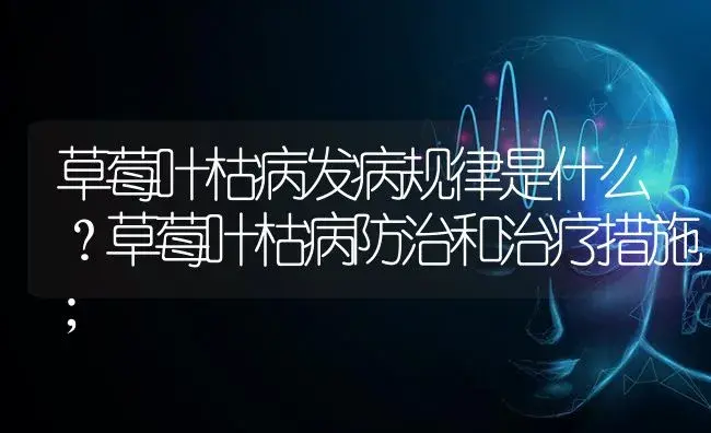 草莓叶枯病发病规律是什么？草莓叶枯病防治和治疗措施； | 果木种植