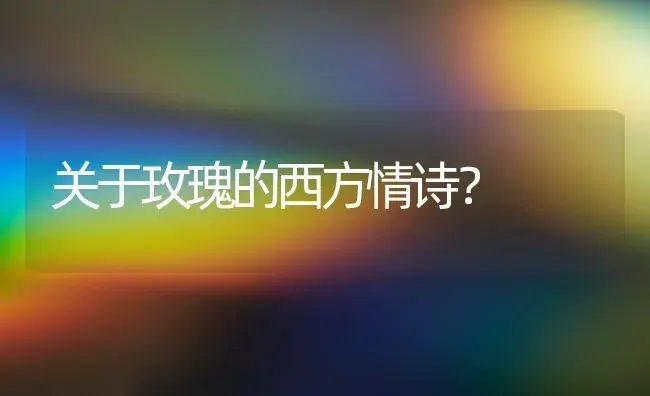 关于玫瑰的西方情诗？ | 绿植常识