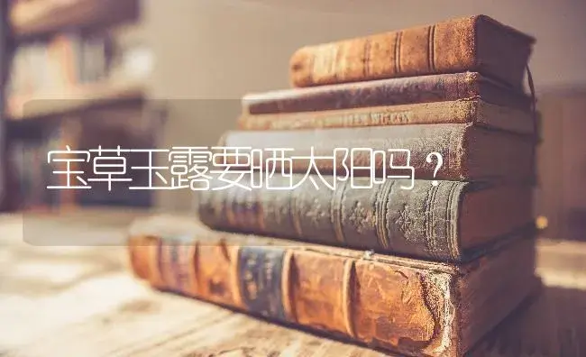宝草玉露要晒太阳吗？ | 多肉养殖
