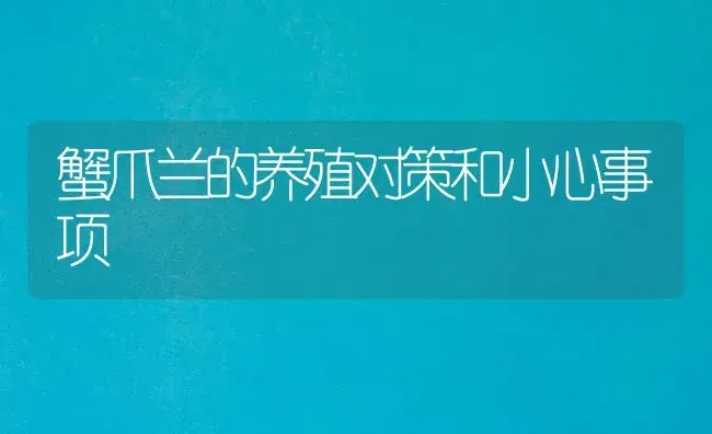 蟹爪兰的养殖对策和小心事项 | 家庭养花