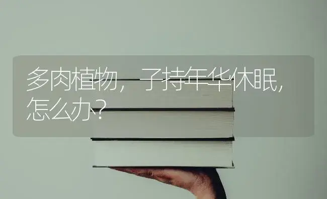 多肉植物,子持年华休眠,怎么办？ | 多肉养殖