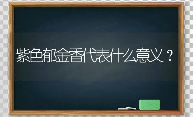 紫色郁金香代表什么意义？ | 绿植常识