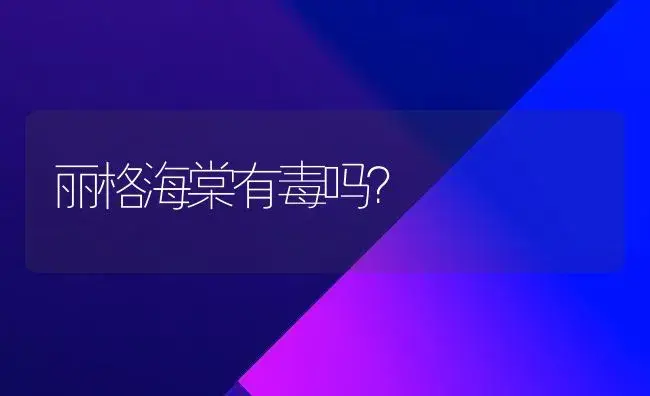 丽格海棠有毒吗？ | 绿植常识