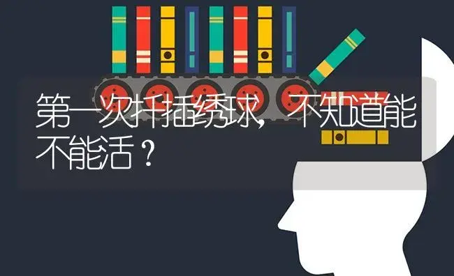 第一次扦插绣球，不知道能不能活？ | 绿植常识