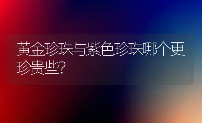 黄金珍珠与紫色珍珠哪个更珍贵些？ | 多肉养殖