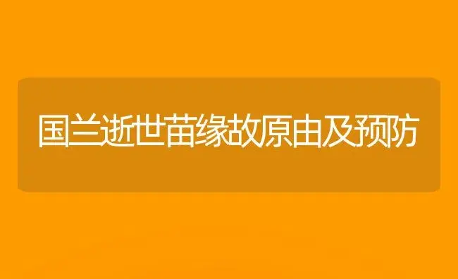 国兰逝世苗缘故原由及预防 | 家庭养花