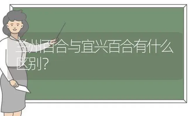 兰州百合与宜兴百合有什么区别？ | 绿植常识