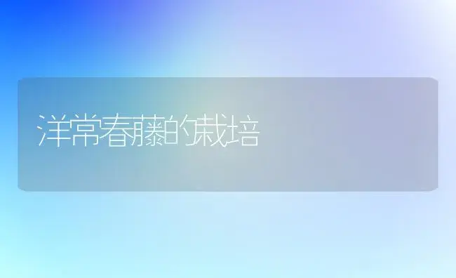 苹果树串花枝也分强弱 | 果木种植