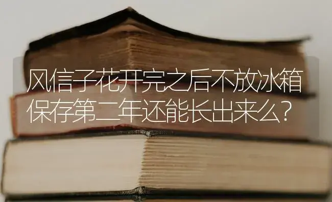 风信子花开完之后不放冰箱保存第二年还能长出来么？ | 绿植常识