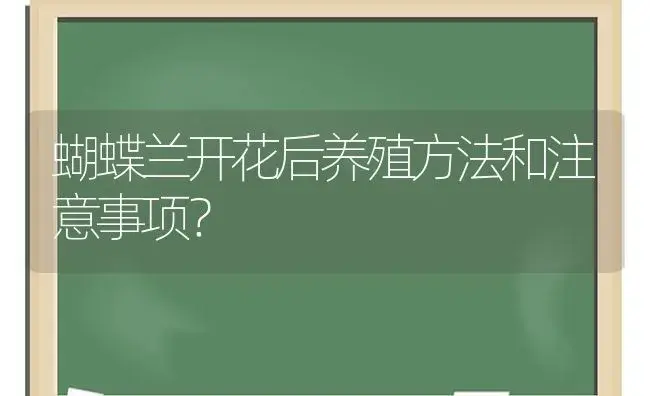 蝴蝶兰开花后养殖方法和注意事项？ | 绿植常识