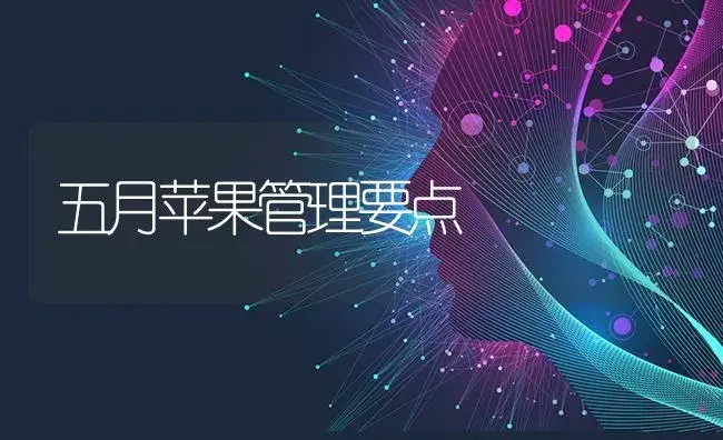 五月苹果管理要点 | 果木种植