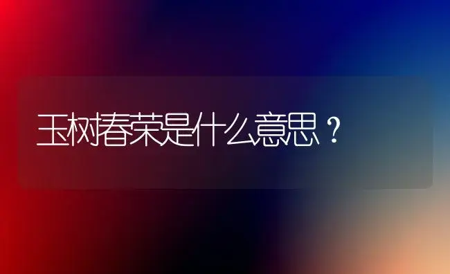 玉树春荣是什么意思？ | 多肉养殖