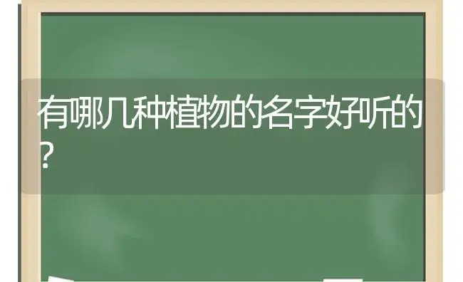 有哪几种植物的名字好听的？ | 多肉养殖