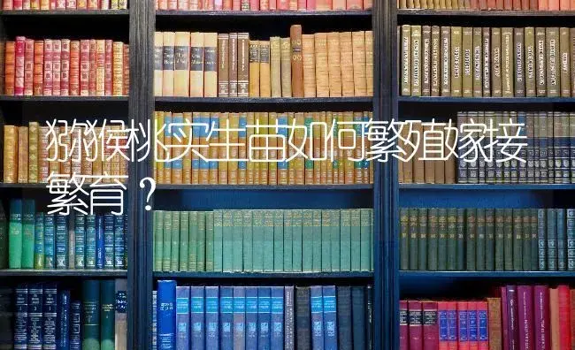 猕猴桃实生苗如何繁殖嫁接繁育？ | 果木种植