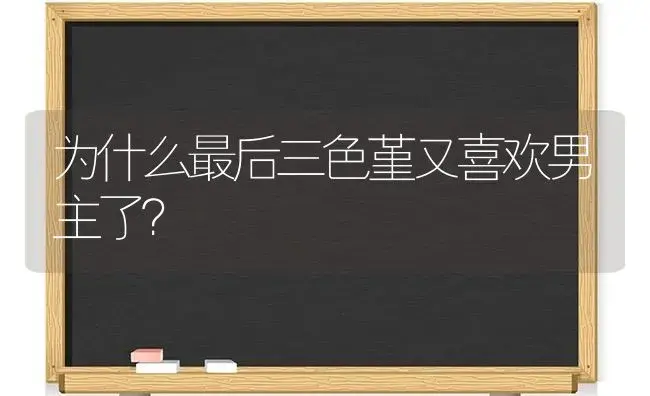 为什么最后三色堇又喜欢男主了？ | 绿植常识