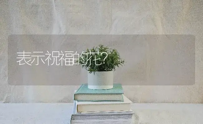 表示祝福的花？ | 绿植常识