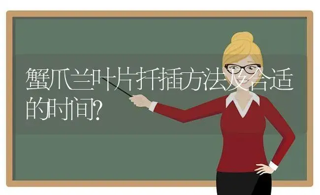 蟹爪兰叶片扦插方法及合适的时间？ | 多肉养殖