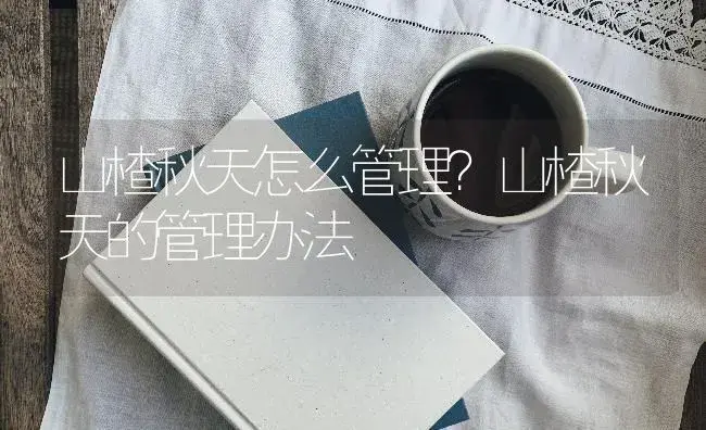 山楂秋天怎么管理？山楂秋天的管理办法 | 果木种植