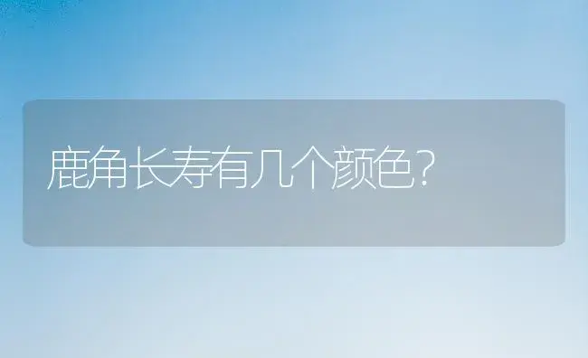 鹿角长寿有几个颜色？ | 多肉养殖