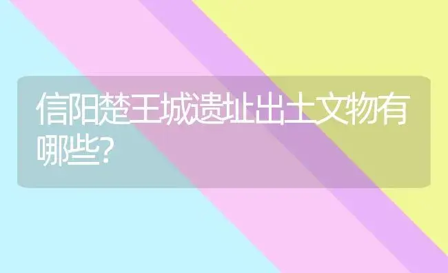 信阳楚王城遗址出土文物有哪些？ | 多肉养殖