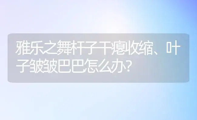 雅乐之舞杆子干瘪收缩、叶子皱皱巴巴怎么办？ | 多肉养殖