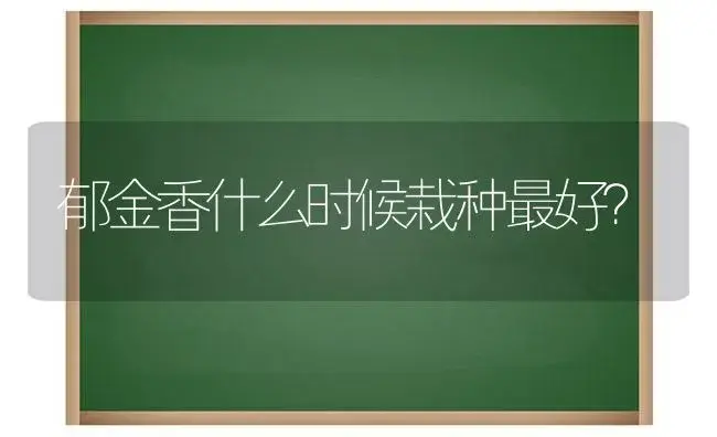 郁金香什么时候栽种最好？ | 绿植常识