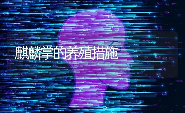 麒麟掌的养殖措施 | 特种种植